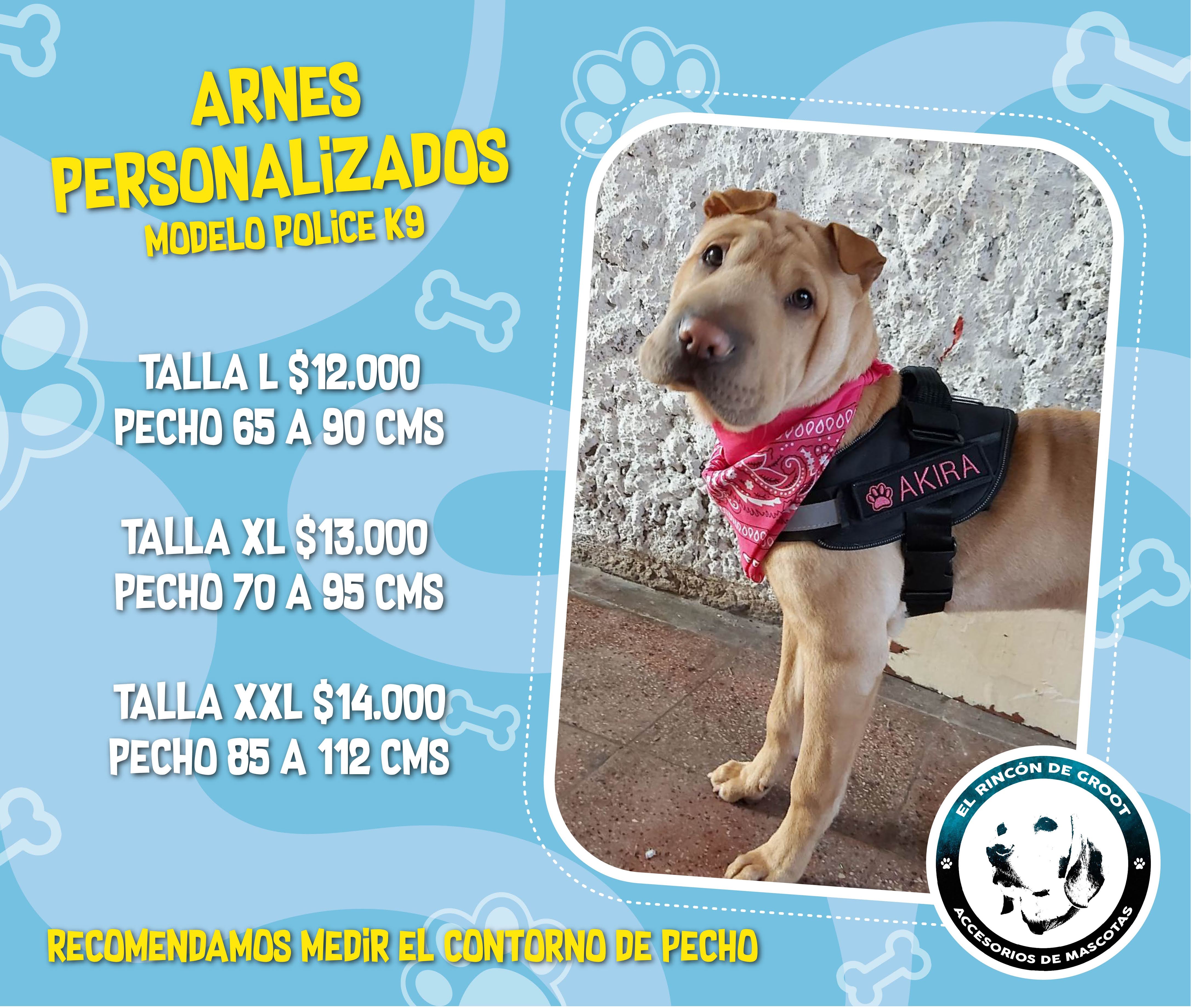 Arnés personalizados para mascotas 4