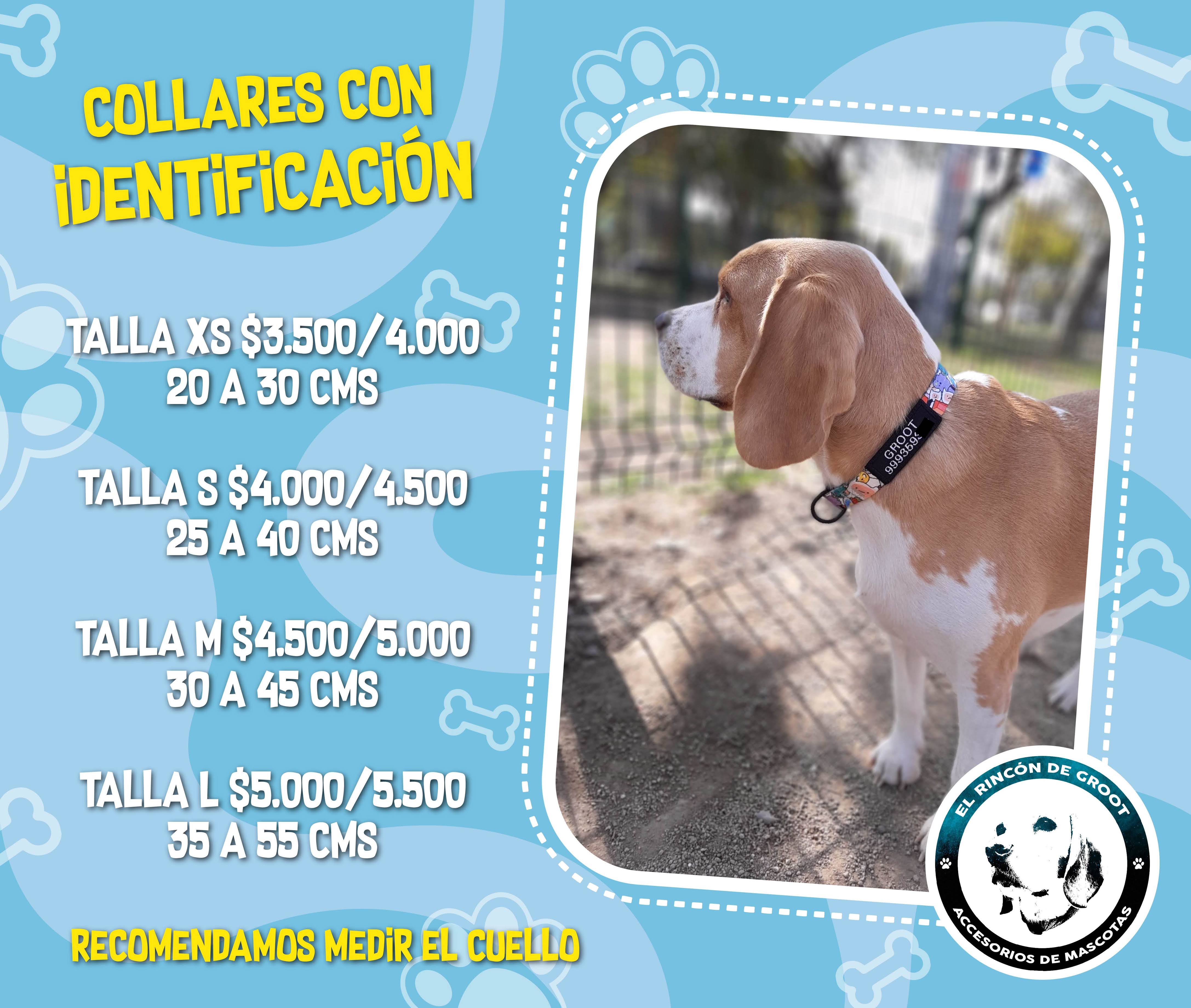 Collar personalizado para mascotas 4