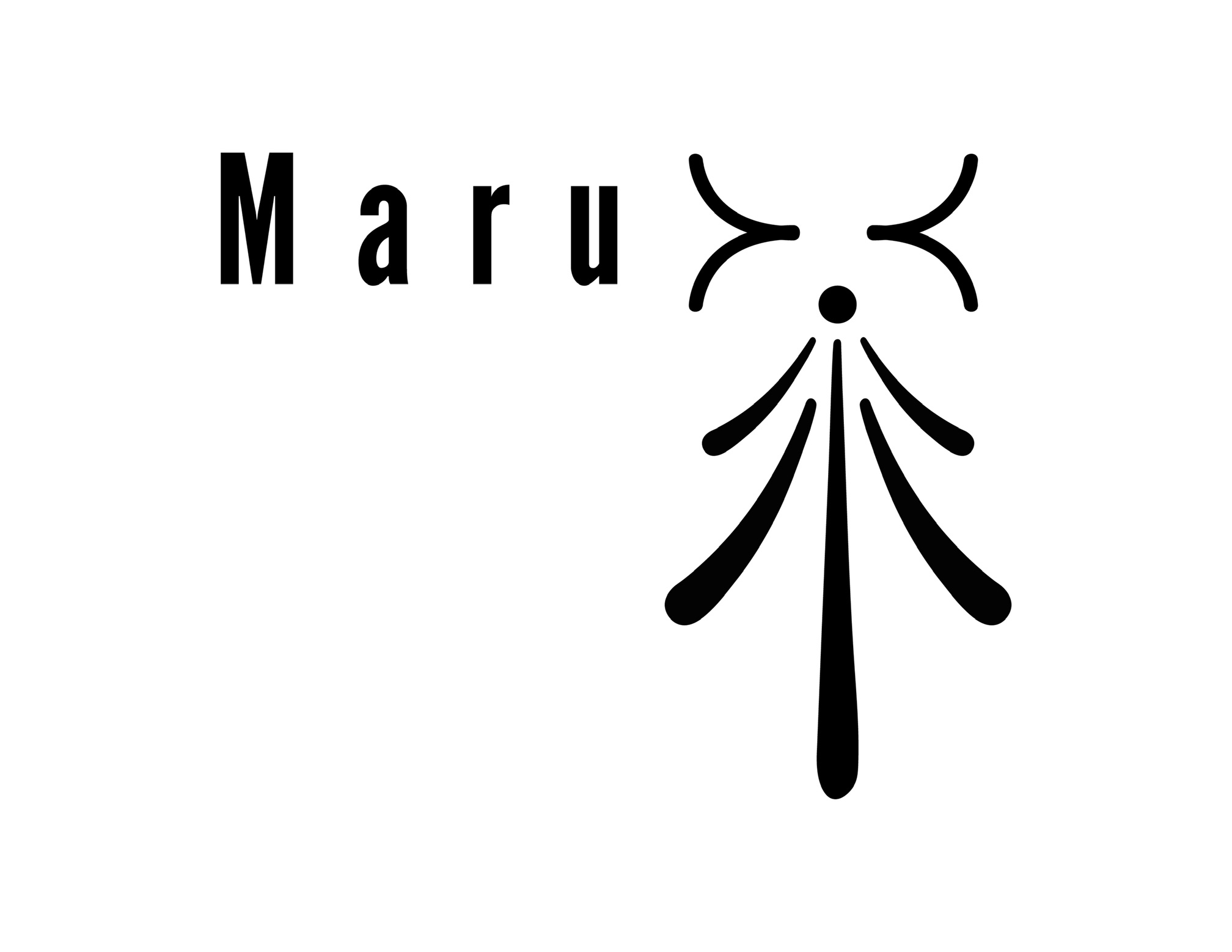 logo tienda: Maru Accesorios